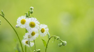 贵阳的哪所幼师学校好?