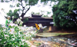 2021年贵阳幼师学校适合女生学吗