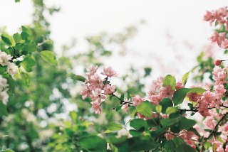 甘肃幼儿师范学校住宿条件