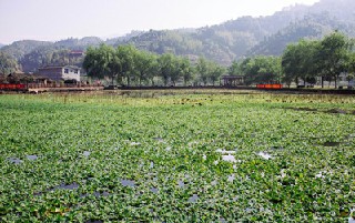 黔南独山县中等职业学校地址及乘车路线