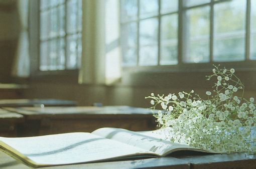 贵阳幼师学校招生条件