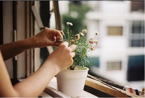 贵阳幼师学校招生条件